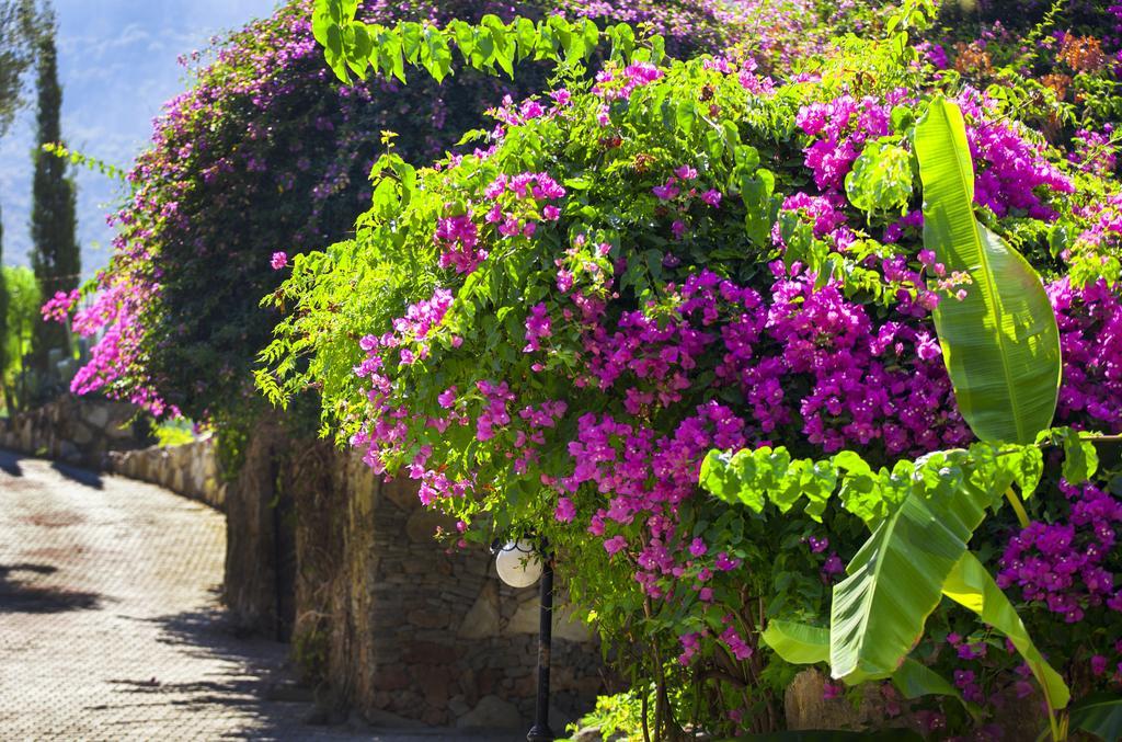 Paradise Garden Hotel Oludeniz Exterior photo
